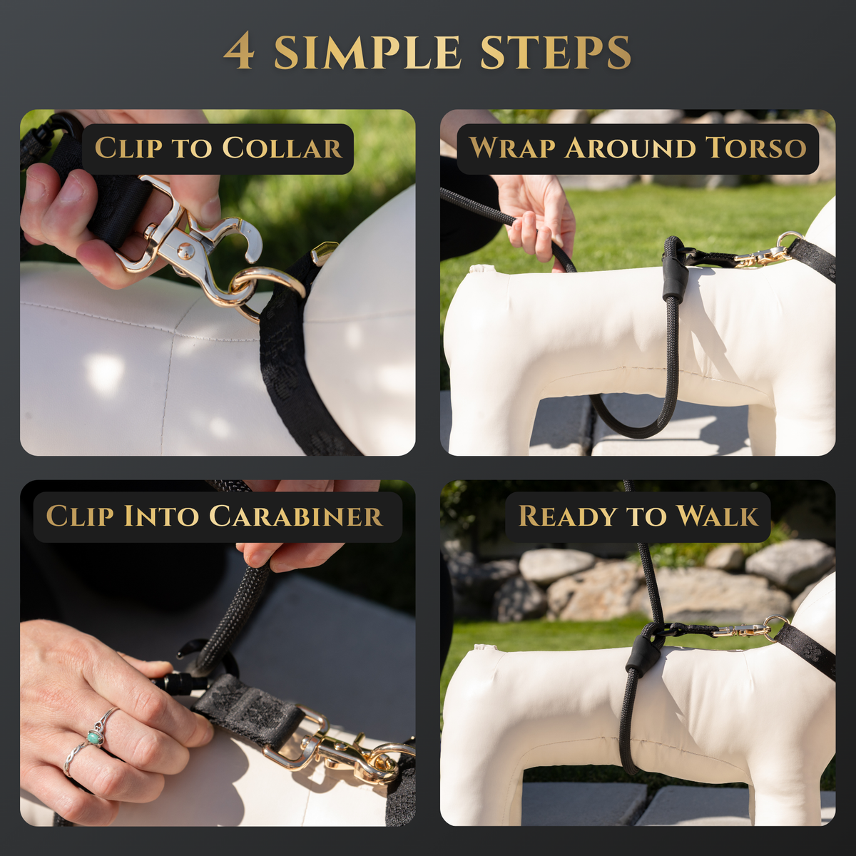 Wasatch Pup Hands-Free Walking Leash