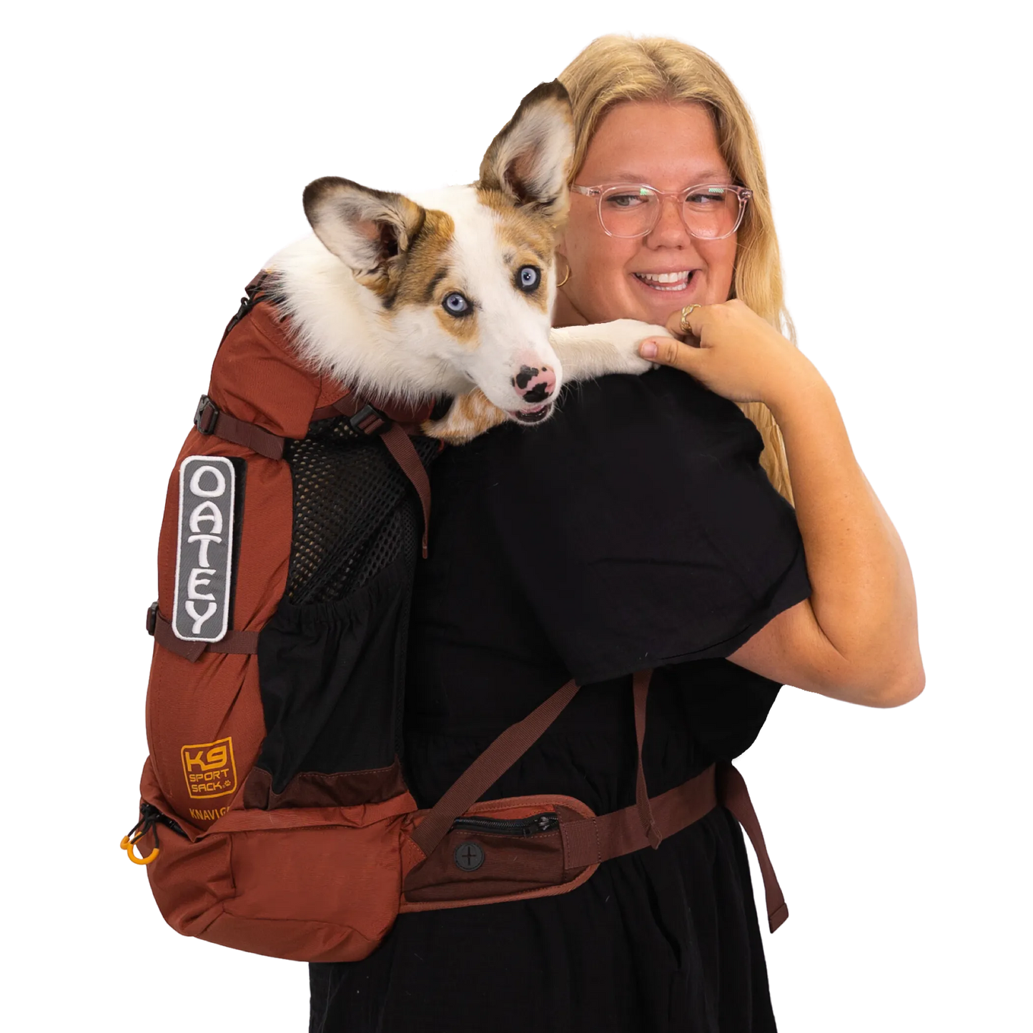 K9 Sport Sack Knavigate — Dune