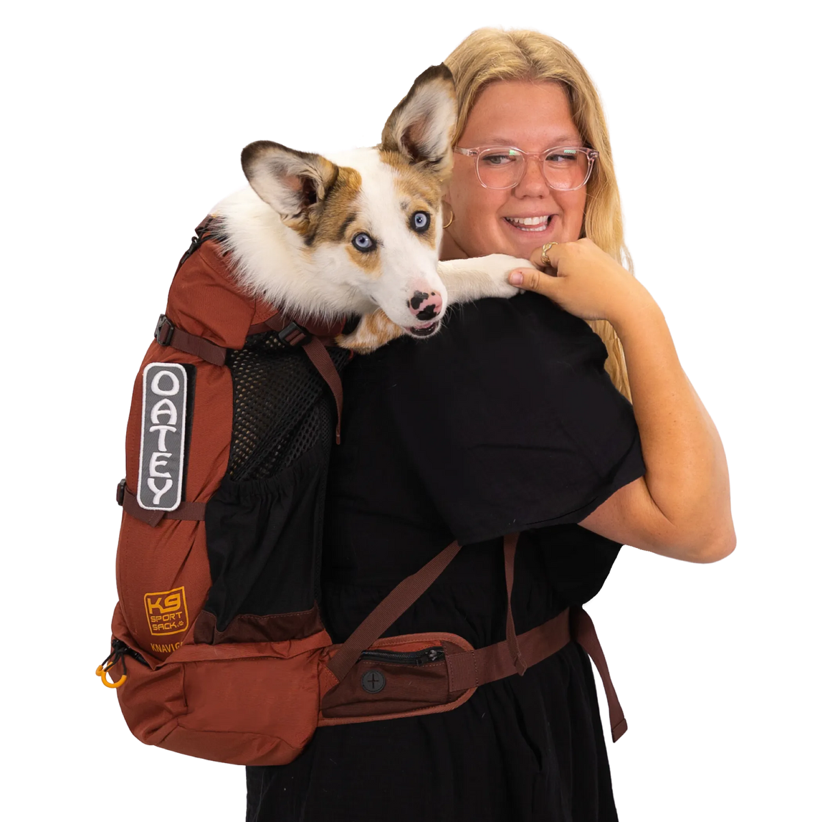 K9 Sport Sack Knavigate — Dune