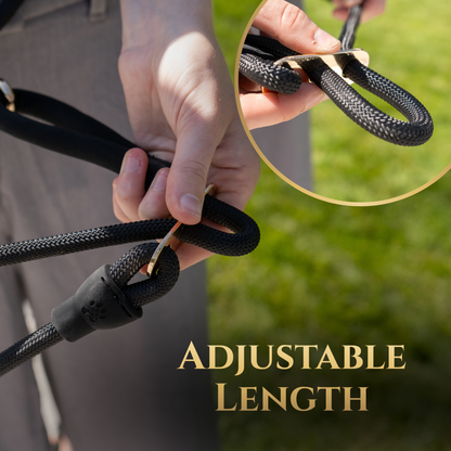 Wasatch Pup Hands-Free Walking Leash