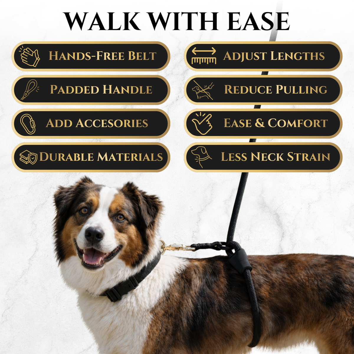 Wasatch Pup Hands-Free Walking Leash