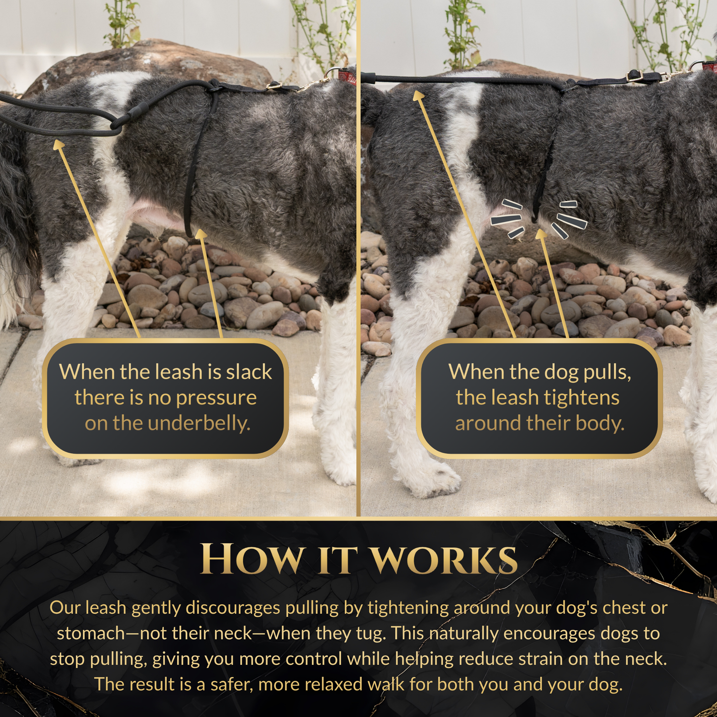 Wasatch Pup Hands-Free Walking Leash