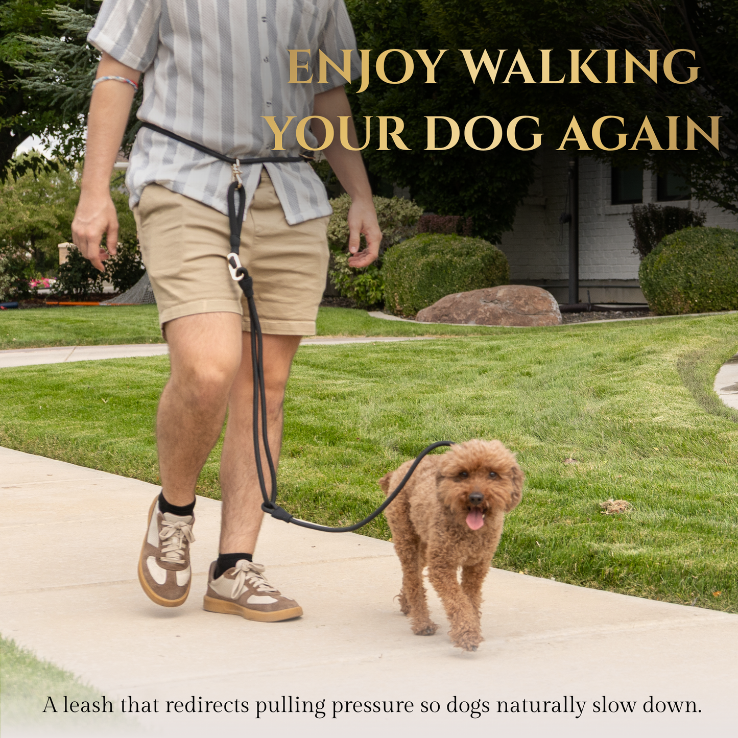 Wasatch Pup Hands-Free Walking Leash