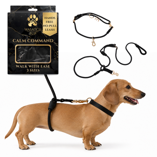 Wasatch Pup Hands-Free Walking Leash